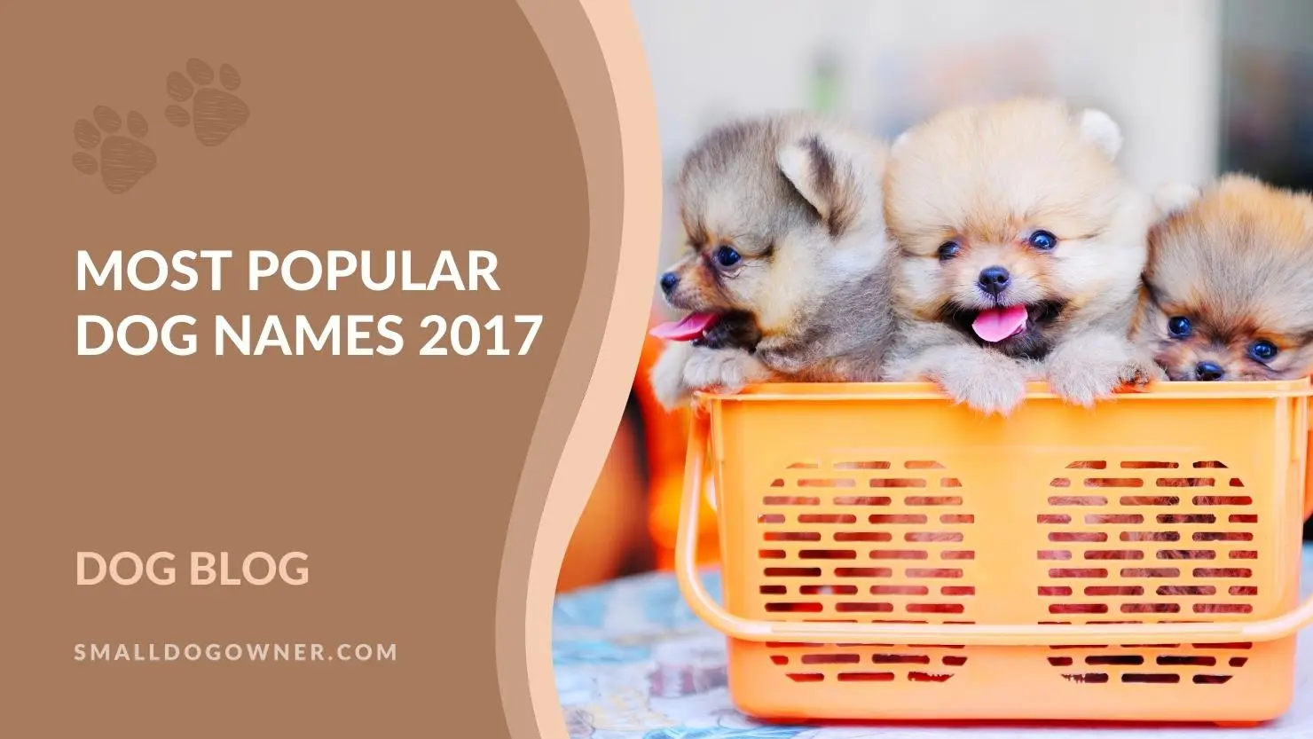 Most popular dog names 2017