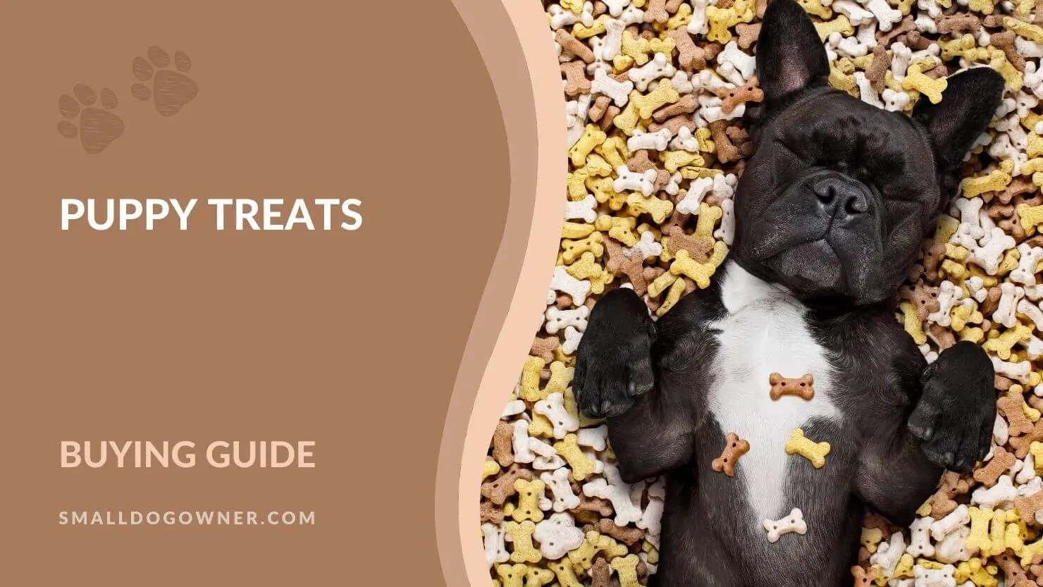 puppy treats buying guide