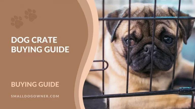 Dog crate buying guide