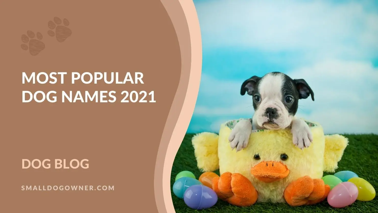 Most popular dog names 2021