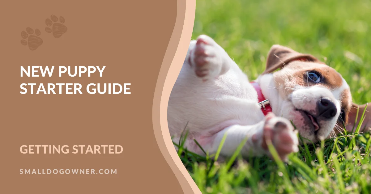 New Puppy Starter Guide