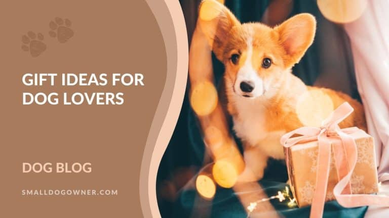 Gift ideas for dog lovers
